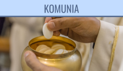 images/panele/5.png